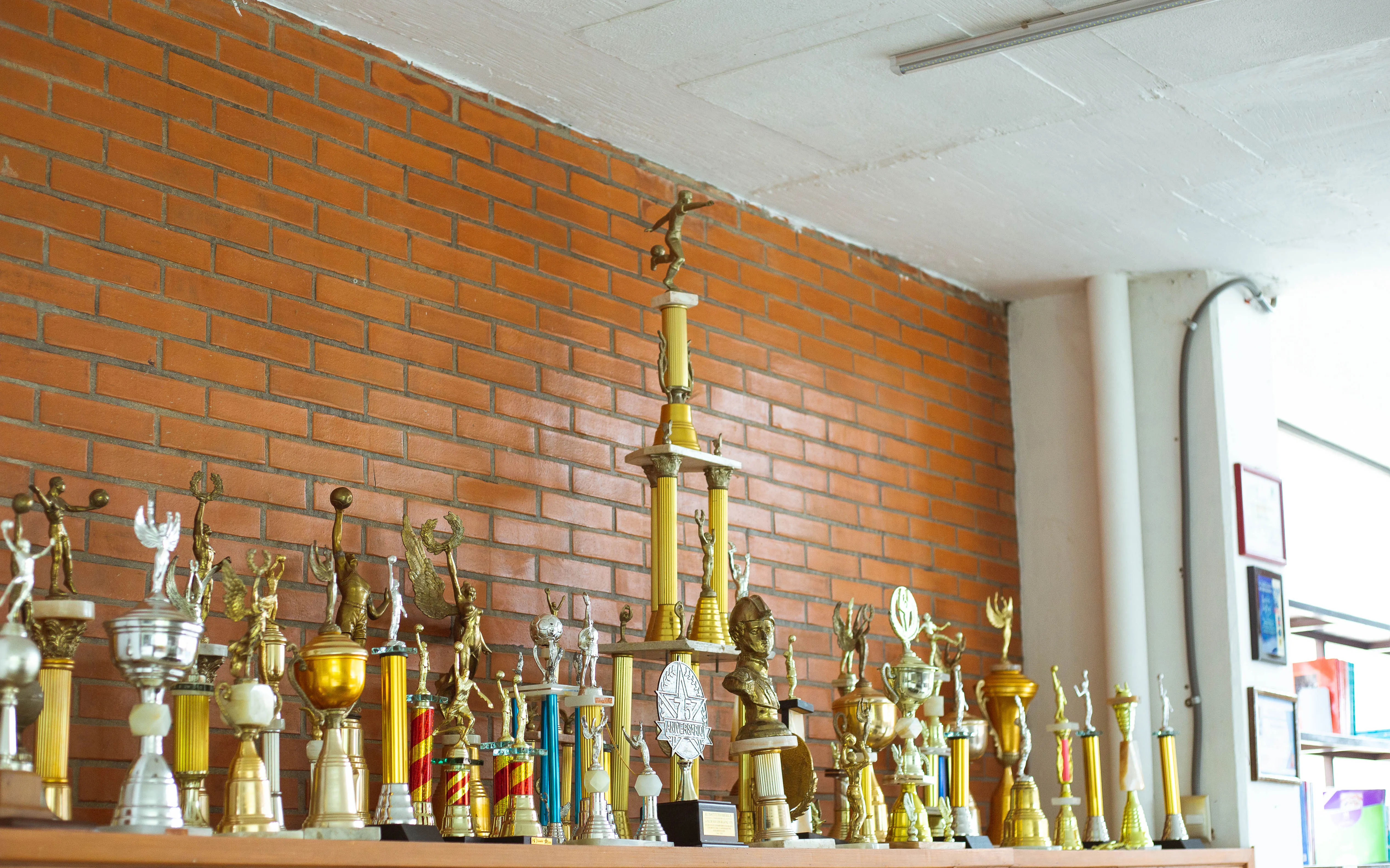 Photo 10